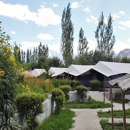 Tiger Camp Nubra Hotel Exterior foto