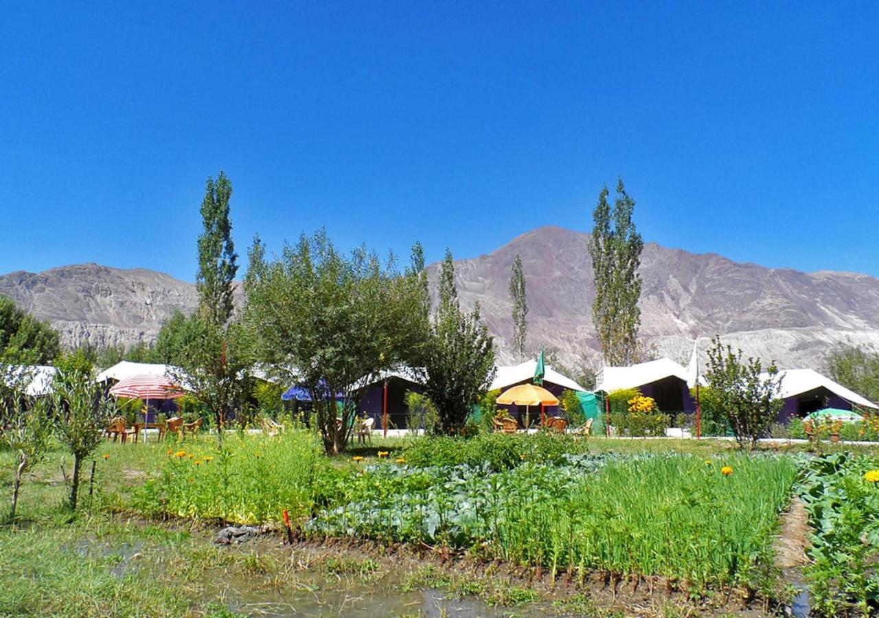 Tiger Camp Nubra Hotel Exterior foto